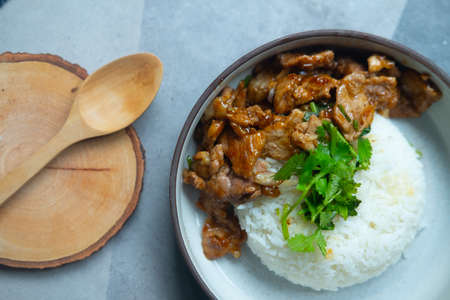 Fried garlic pork serve with white rice. Thai popular food style.の写真素材