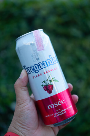 Samut Prakan, Thailand - January 14, 2021 : A can of Hoegaarden Rosee in hand. The drinkers that are...
