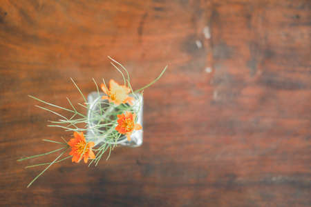 Orange flowers in a glass vase on wooden table. Decor for interior. Stylish decoration for home.の写真素材