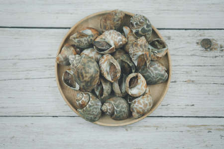 Grilled Spiral babylon snail on wood dish place on wood tableの写真素材