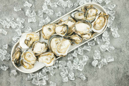 Fresh oysters served on long tray with ice. Restaurant delicacy.