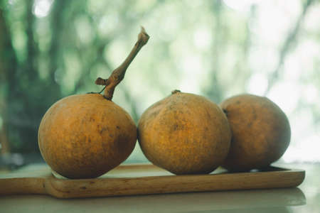 Ripe santol fruits group on wood trayの写真素材