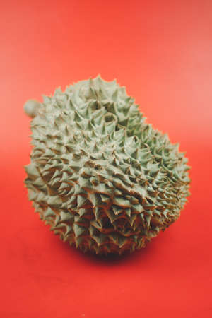 Closeup Durian on a red background, a hard-shelled fruit with green thorns and when ripe, it has a yellowish-green or brownの写真素材