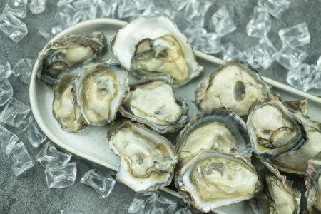 Fresh raw half-shell oyster on long plate and iceの写真素材