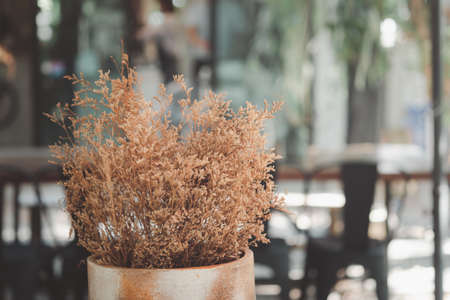 Dried grass or flower in vase for decoration, close upの写真素材
