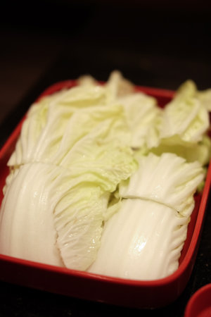 Fresh lettuce sliced on red square plate, close upの写真素材