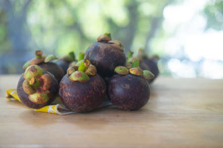 Fresh ripe mangosteen fruits placed on wood table