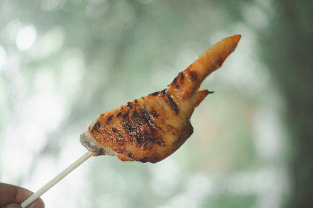 Hand holding grilled chicken wing with bamboo stick against nature backgroundの写真素材