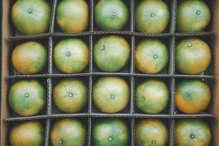 Close up orange fruit arranged in a paper carton box
