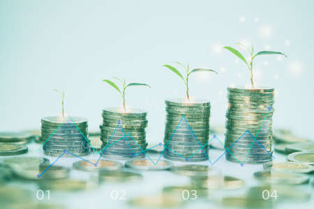 Step of coins stacks with a tree growing on top with stock market or forex trading graph, money. Money saving, investment, family planning, money growth, business success concept.の写真素材