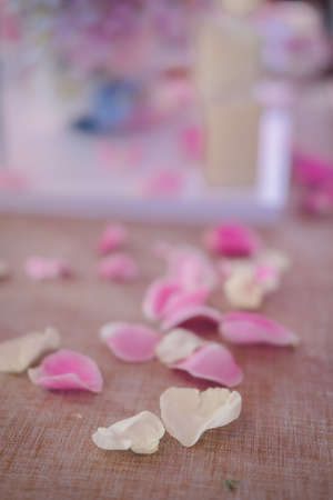 Pink and white rose petals were scattered on the floor. Close upの写真素材