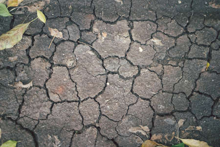 Cracked ground with dry leaves, cracked ground for background. Top view and close-upの写真素材