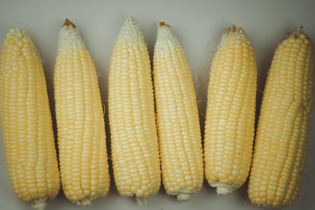 Sweet corn vegetables, fresh peeled saw yellow corn kernels ready to boiled
