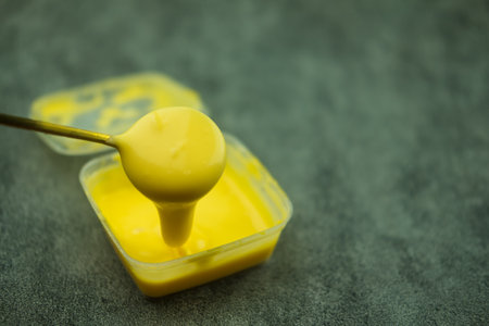 Creamy cheddar sauce, Ideas and recipes for a healthy diet or vegan food for snacksの写真素材