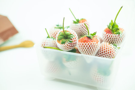 Fresh strawberries with net in plastic boxの写真素材