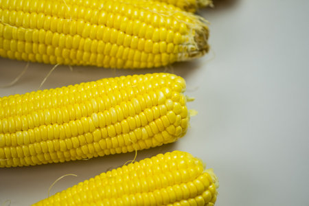 Fresh corn on the cob. Close up