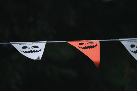 Cute Halloween flags garlands decorations hanging on a tree. Close upの写真素材