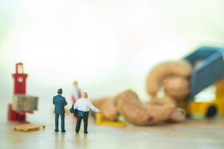 Miniature people harvest cashews preparing for export and quality control by miniature businessmen. The concept of small businessの写真素材