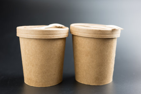 Brown food container for ice cream, noodles or other dishes. ecological product that can decompose naturally. Zero Wasteの写真素材