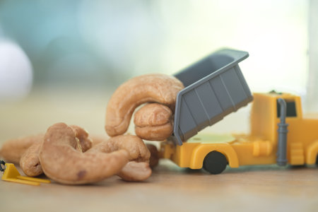 Fresh roasted and salted cashew nuts on toy trucks for import or export. The concept of small business. Quality controlの写真素材