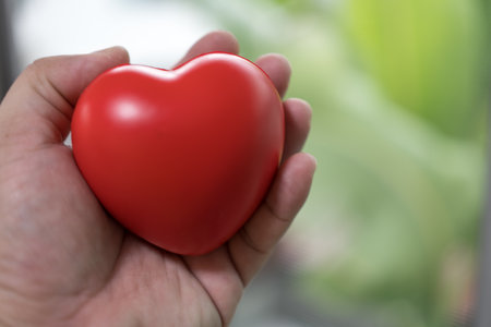 Hand holding a red heart. World health day, Health care and mental health conceptの写真素材