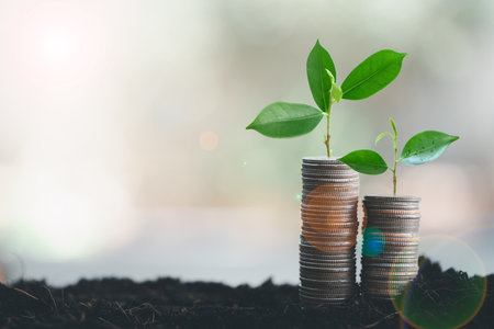 Money and trees growing on money investment financial growth. Planting a tree on a pile of money,...