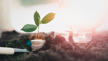 Tree planting and growth up on money coins on shovel and light bulb in soil, concept in save world environment day reforestation eco bio arbor CSR ESG ecosystems reforestation conceptの写真素材