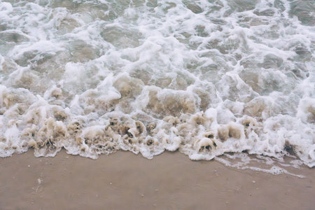 Beach and waves from top view. Travel concept and ideaの写真素材