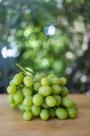 Bunch fresh green grapes on a nature blur backgroundの写真素材