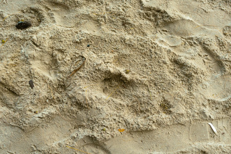 Close up sand texture on beach in summer. Beach sand backgroundの写真素材