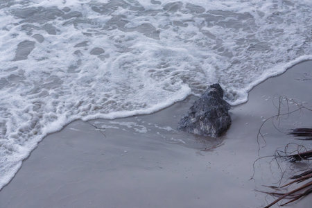 Soft ocean wave on tropical sandy beach and stone in summer background. Close upの写真素材
