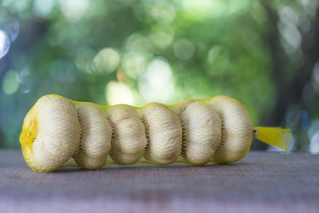 A bunch of organic fresh Thai garlics in yellow net bagの写真素材