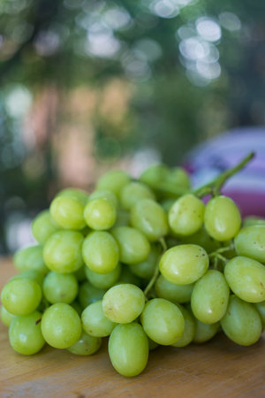 Green grapes on wood table and nice blurred background effect.の写真素材