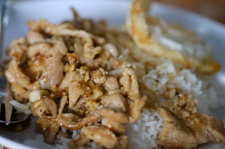 Fried pork with garlic and pepper on rice, Thai Foodの写真素材