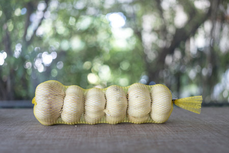 Dried fresh white garlic bulbs in yellow net bag. The flesh of the garlic head is light yellow and has a pungent odor.の写真素材