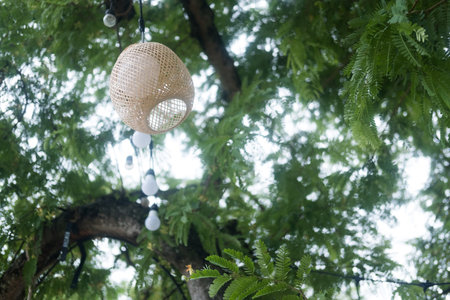 Exterior handcraft decoration lamps hanging on the tree outside in the dayの写真素材