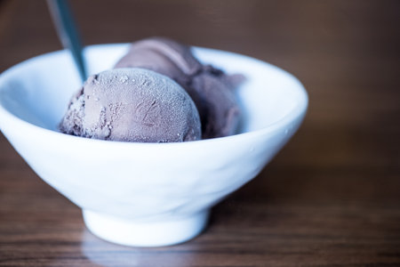 Scoop of chocolate ice cream in white bowl. Close upの写真素材
