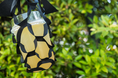 A glass of iced honey lemon cup with holding packaging for glass take away. Close upの写真素材
