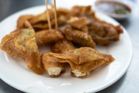 Deep fried wontons or dumpling on white dishの写真素材