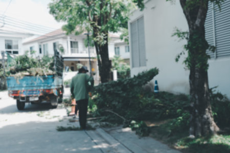 Blur background worker uses a brush collection truck to pick up of debris from a tree that was cut down.の写真素材