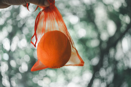 Oranges fruit filled in red bag for give to other during Chinese New Year festival. Oranges are common Chinese New Year food gifts because they're believed to bring good luck and happiness.の写真素材