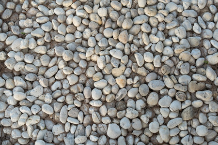 White pebble stone texture on the ground. White pebbles stone for background.の写真素材