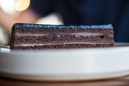 Chocolate cake. Piece of layered dessert with Chocolate cream. Selective focusの写真素材
