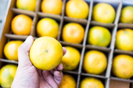 Selective focus of orange fruit on hand pick up from brown paper box. Delivered to your home.の写真素材