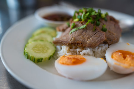 Slice of stewed pork eaten with rice served with boiled egg and cucumber sprinkled with coriander. Close upの写真素材
