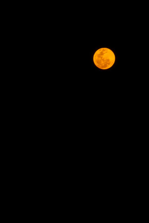 A large, bright orange moon on a night black backgroundの写真素材