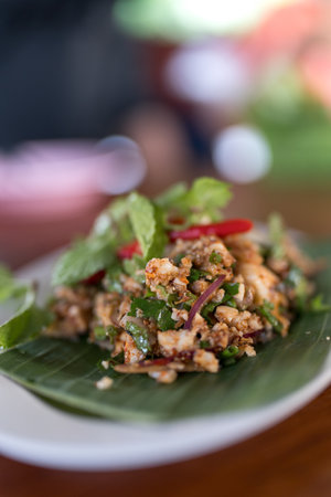 A flavorful serving of Larb Moo with minced pork, fresh herbs, and chili, garnished with red onion and leaf mint. Authentic Thai cuisineの写真素材