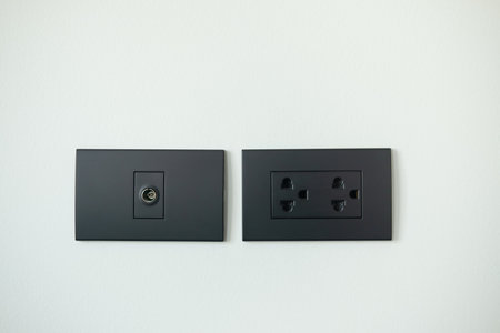 Black electrical outlet and inserts the antenna cable to the TV outlet. Element of modern interior design with black electric light switchの写真素材