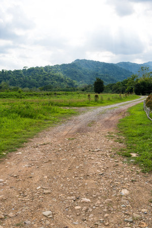Dirt road in jungle to camping at Nakhon Nayok, Thailandの写真素材
