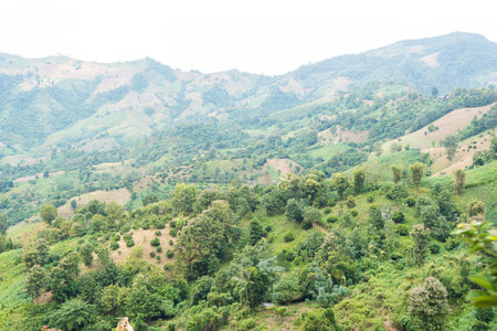 Aerial view. High mountain views and the verdant farmland of the countryside in  Sakat, Pua District, Nan, Thailandの写真素材